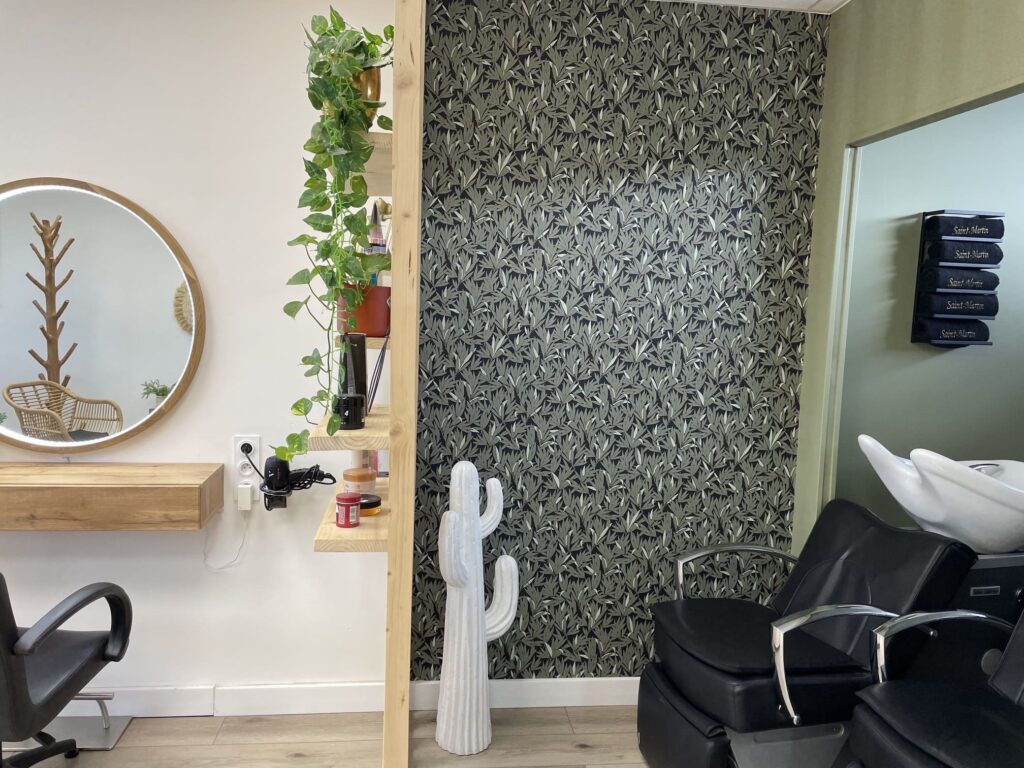 Déco d'intérieur Lespinasse espace de rinçage