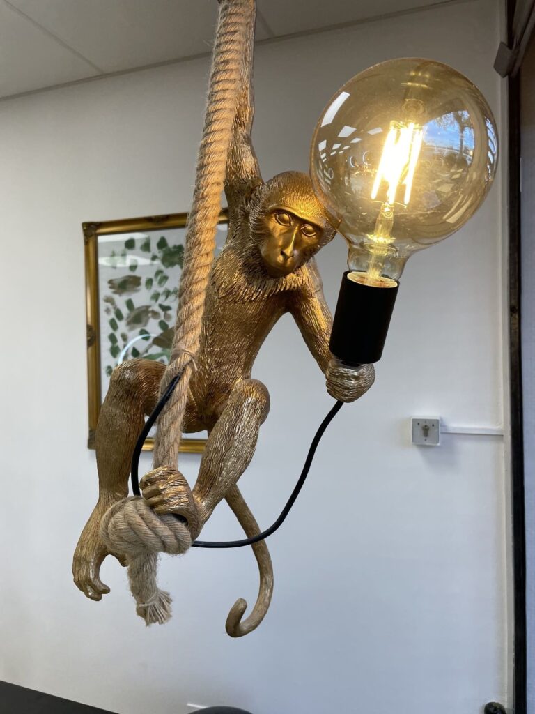 Déco d'intérieur Lespinasse luminaire