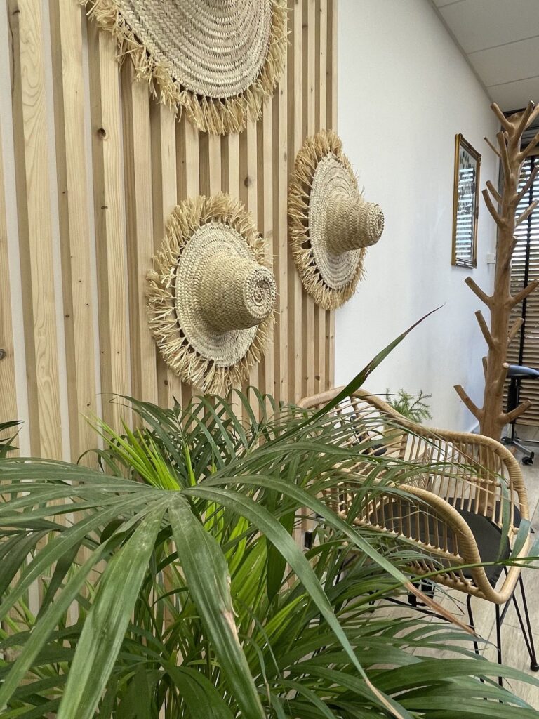 Déco d'intérieur Lespinasse style exotique chic